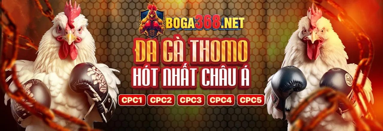 Tổng quan về Điều khoản và Điều kiện cm888