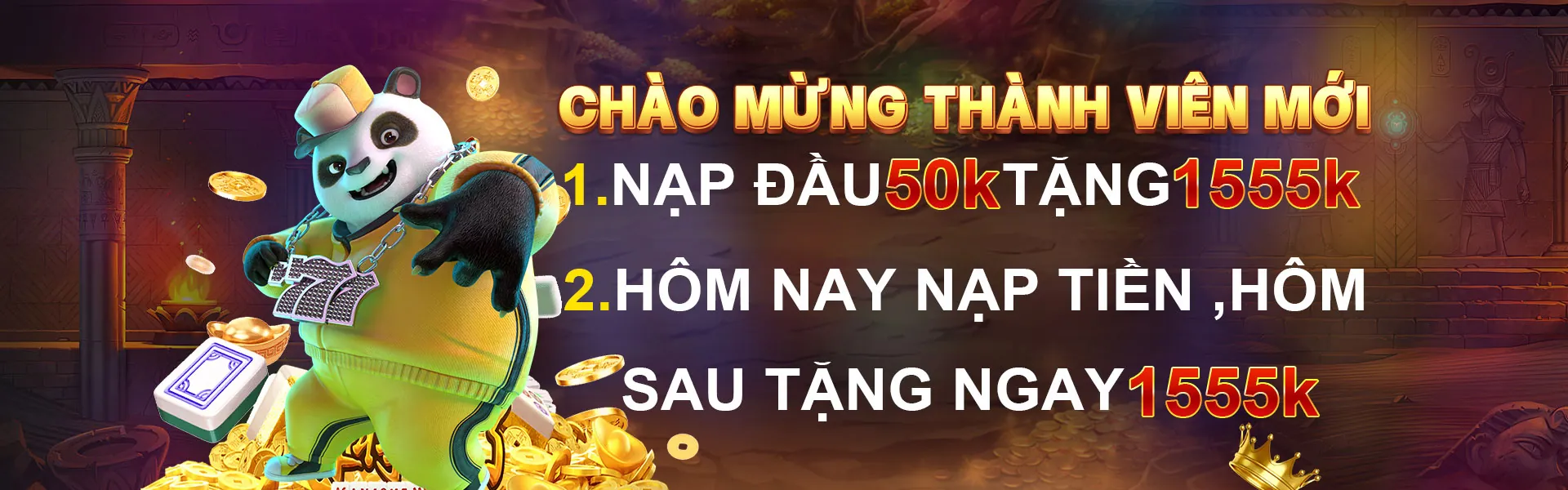 Banner điều khoản dịch vụ ST 666