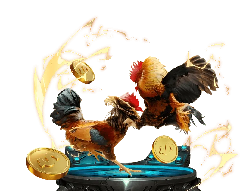 Quyền của người dùng về dữ liệu cá nhân tại ST 666